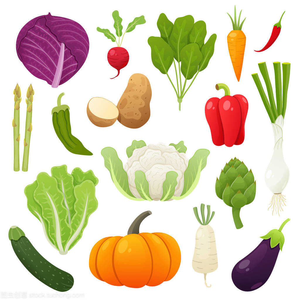 蔬菜食品设置。矢量图